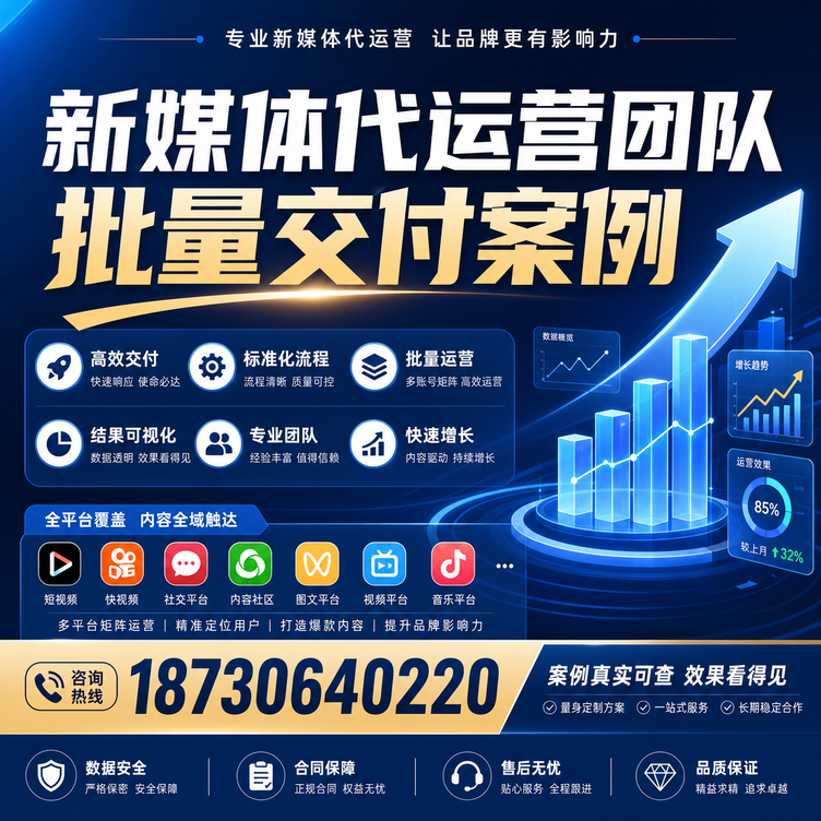 博尔塔拉代运营公司多客户账号批量高效交付案例